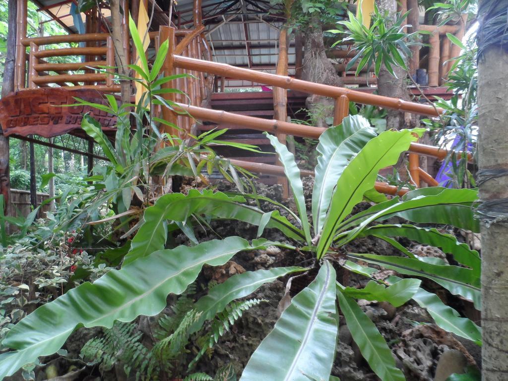 Victoria Guest House And Cottages Puerto Princesa Екстериор снимка